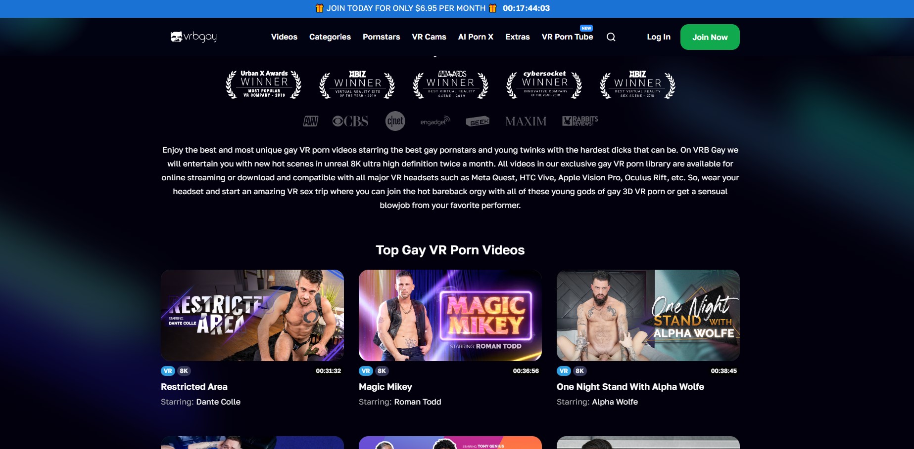 VRBGay VR site review